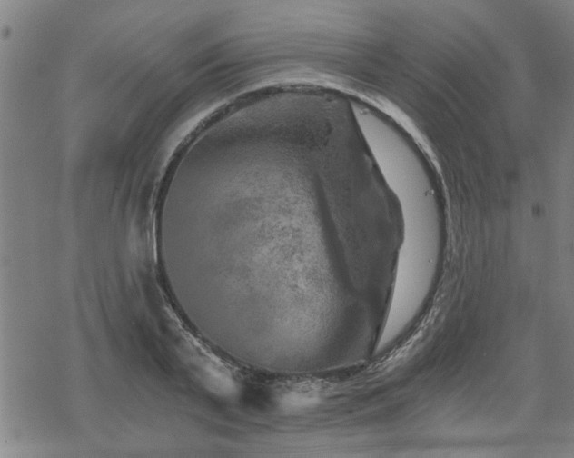 X0000069810791200605191044