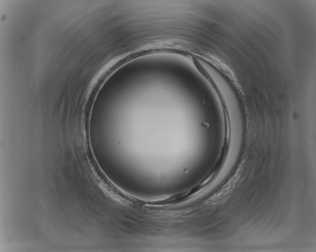 X0000069810792200605191044