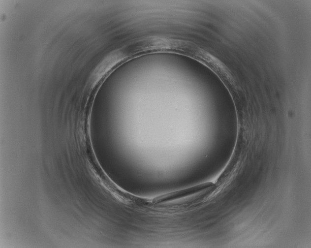 X0000069810794200605191044