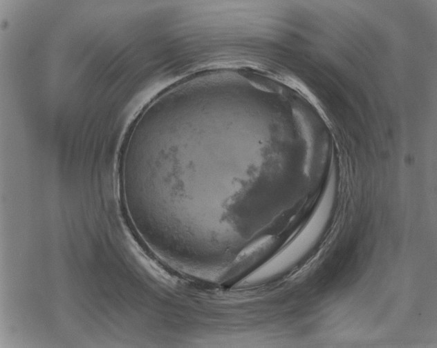 X0000069810795200605191044