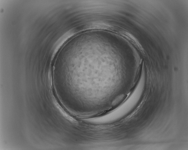 X0000069810796200605191044