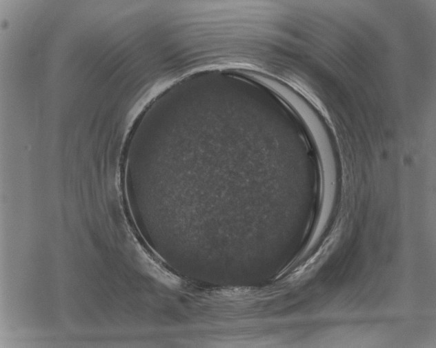 X0000069810797200605191044