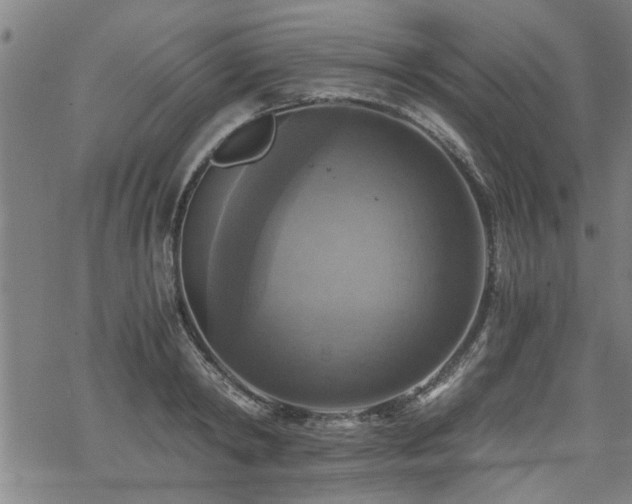 X0000069810798200605191044