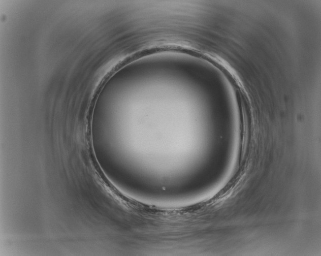 X0000069810799200605191044