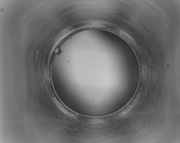 X0000069810800200605191044