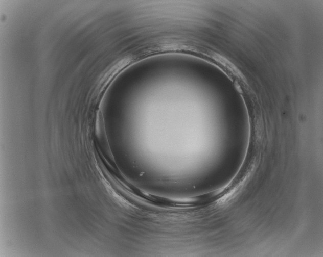 X0000069810801200605191044