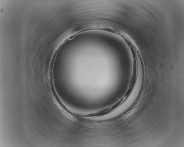 X0000069810803200605191044