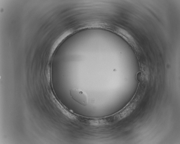 X0000069810804200605191044