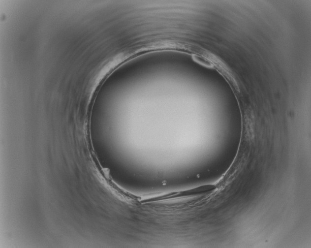 X0000069810805200605191044