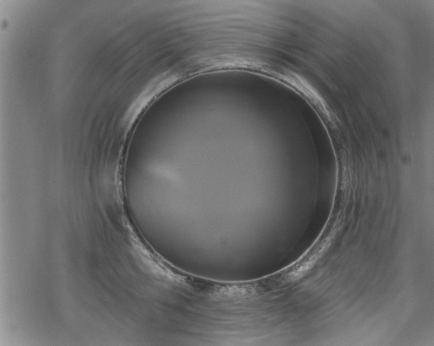 X0000069810806200605191044