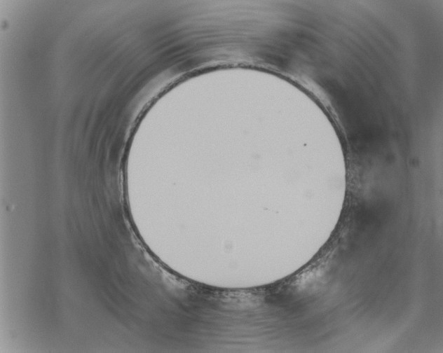 X0000069810807200605191044