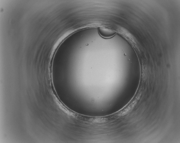 X0000069810808200605191044