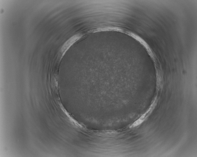 X0000069810809200605191044