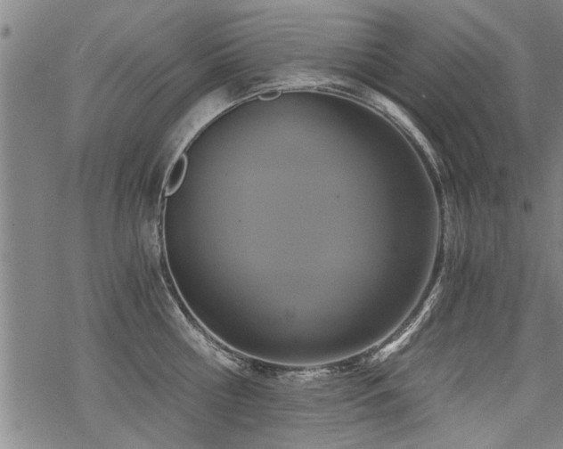 X0000069810810200605191044