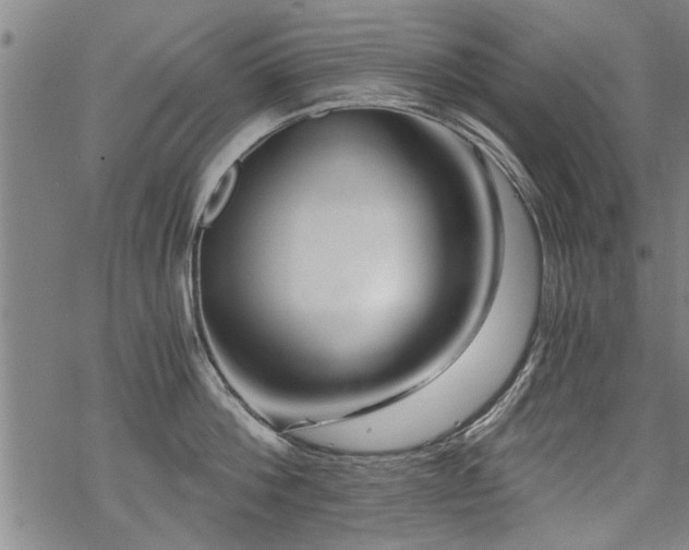 X0000069810812200605191044