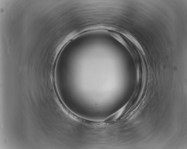 X0000069810813200605191044