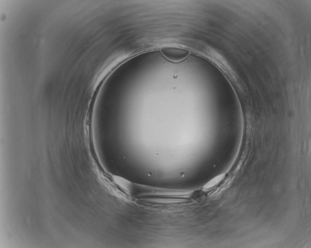 X0000069810814200605191044