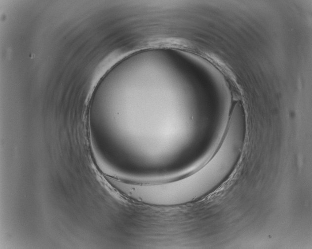 X0000069810816200605191044