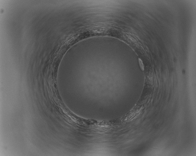 X0000069810817200605191043