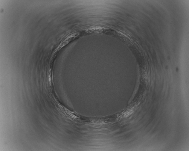 X0000069810818200605191043