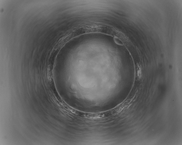 X0000069810819200605191043