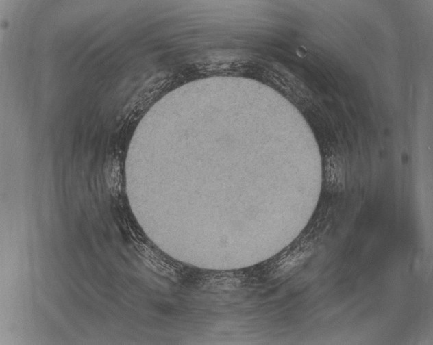 X0000069810820200605191043