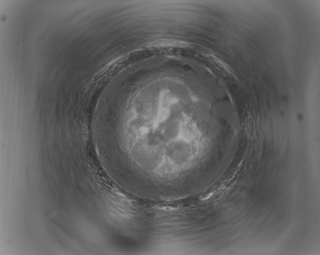 X0000069810821200605191043