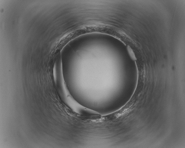 X0000069810822200605191043