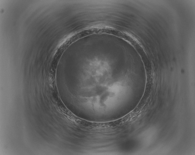 X0000069810823200605191043