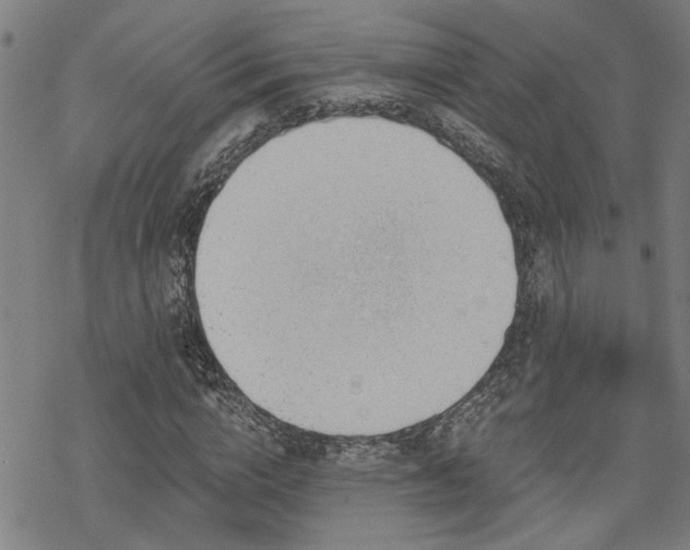 X0000069810824200605191043