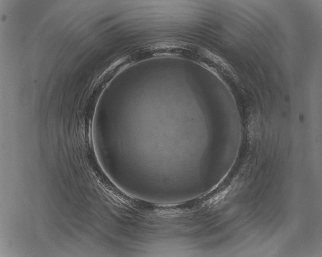 X0000069810825200605191043