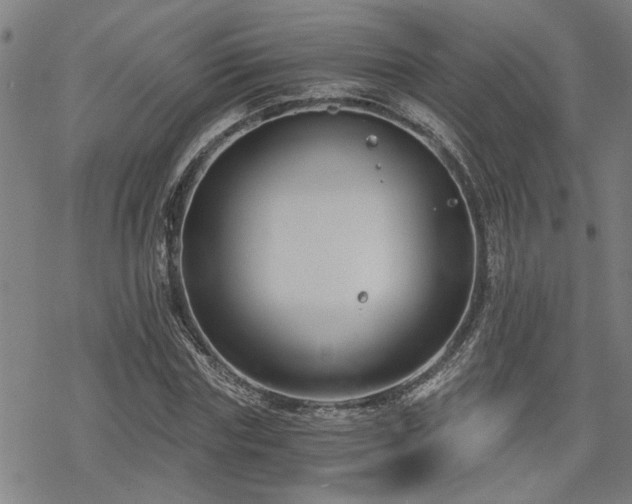 X0000069810827200605191043