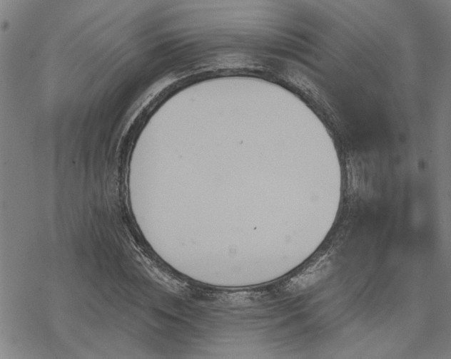 X0000069810828200605191043