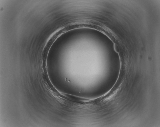 X0000069810830200605191043