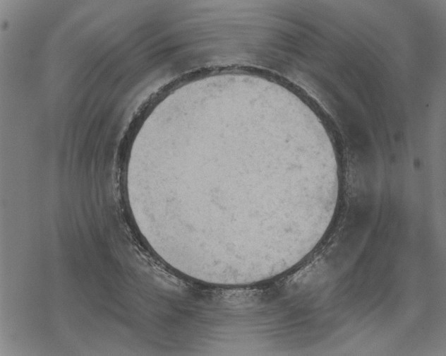 X0000069810832200605191043