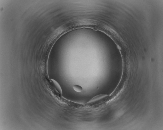 X0000069810833200605191043