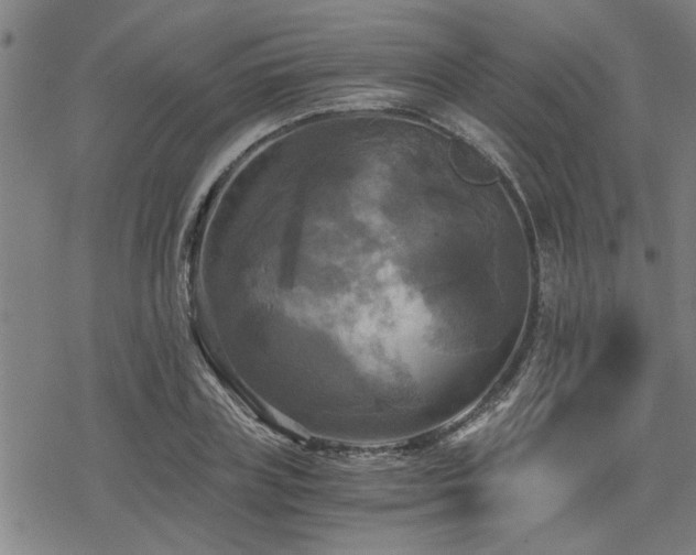 X0000069810835200605191043