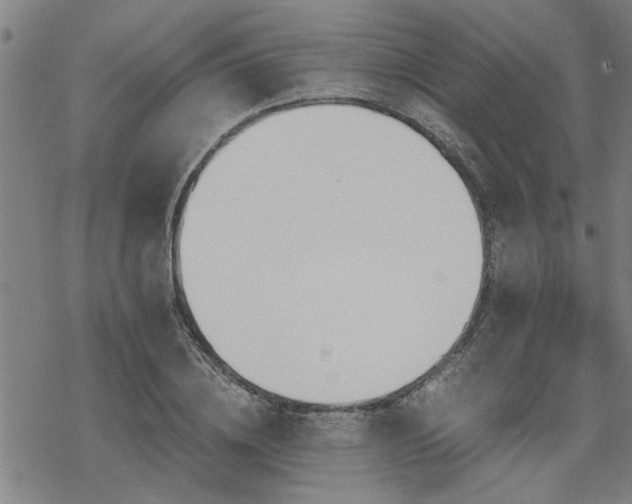 X0000069810836200605191043