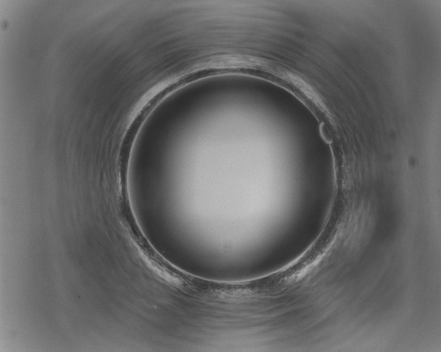 X0000069810837200605191043