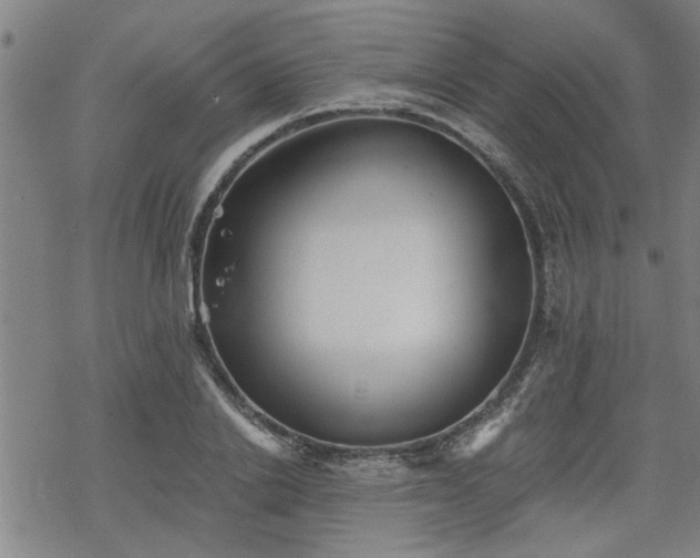 X0000069810838200605191043