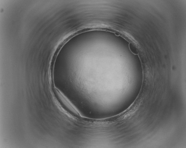 X0000069810840200605191043