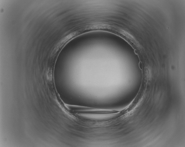 X0000069810841200605191043