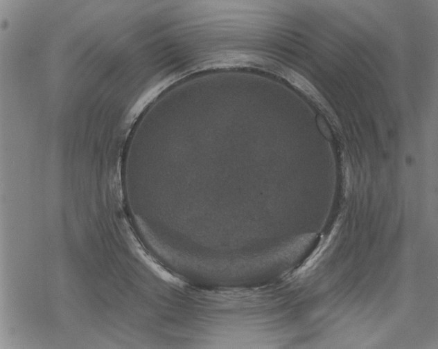 X0000069810842200605191043