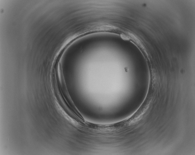 X0000069810843200605191043