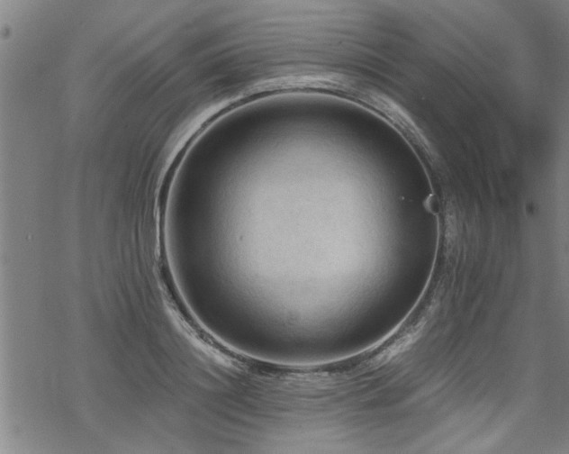 X0000069810844200605191043