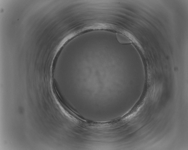 X0000069810845200605191043