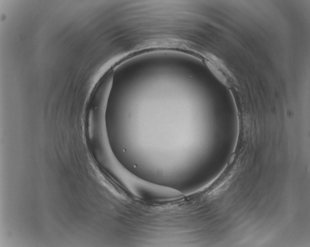 X0000069810846200605191043