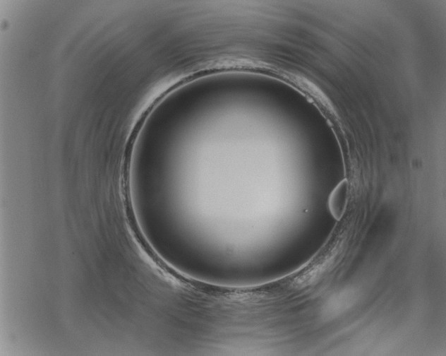 X0000069810847200605191043