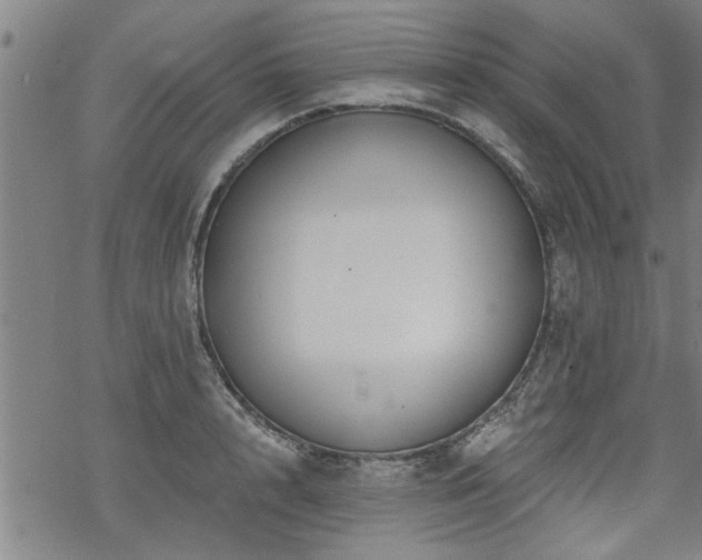 X0000069810848200605191044