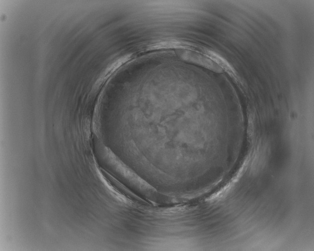 X0000069810849200605191044